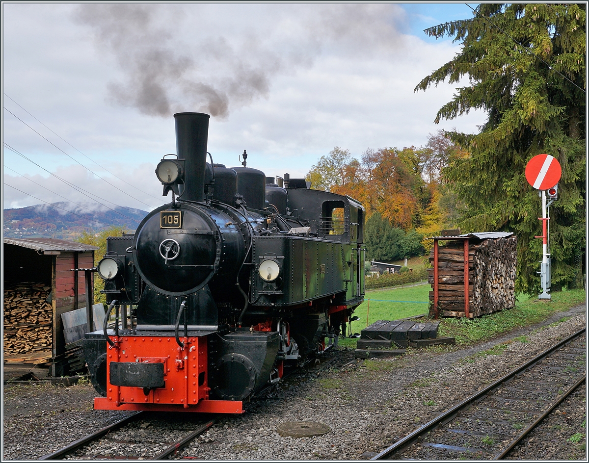 Nicht mal mehr eine Woche und dann dampft es wieder bei der Blonay-Chamby Bahn: Am 1. Mai wird die 52. Saison eröffnet. Zudem bereichern wie jede Jahr etliche elektrische Fahrzeuge das Betriebsgeschehen. Im Bild die G 2 2x2 105 im  BW  von Chaulin.

24. Okt. 2020

In diesem Jahr feiert die Lok ihr 100 Betriebsjubiläum; zwar wurde sie nach alten Plänen eilig noch im Jahre 1918, im August als HK95 an die Heeresfeldbahn ausgeliefert, doch war der Krieg schon aus und die Lok überflüssig. Erst im Juni 1921 wurde unter der Nummer 28 auf er Strecke Haspe - Voerde - Breckfeld eingesetzt, und kam 1928, nach Elektrifizierung der Strecke zur Zell - Todtnau Bahn mit der Nummer 105. 1967 musste Lok im Schwarzwald noch bie der Demontage ihrer Strecke mithelfen, kam aber dann via Eurovapor zur Blonay-Chamby Bahn, wo sie nun alljährlich seit über fünfzig Jahren die Besucher erfreut, und nicht darauf hindeute, zu welchem unrühmlichen Zweck sie gebaut worden war. (Quelle B-C)