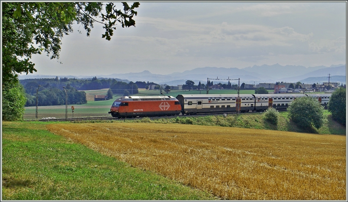 Noch unter alten Fahrleitungsmasten (und deshalb kaum zu sehen) ist eine SBB Re 460 mit ihrem IC bei Rosé einige Minuten vor Fribourg auf dem Weg nach St.Gallen.

6. August 2015