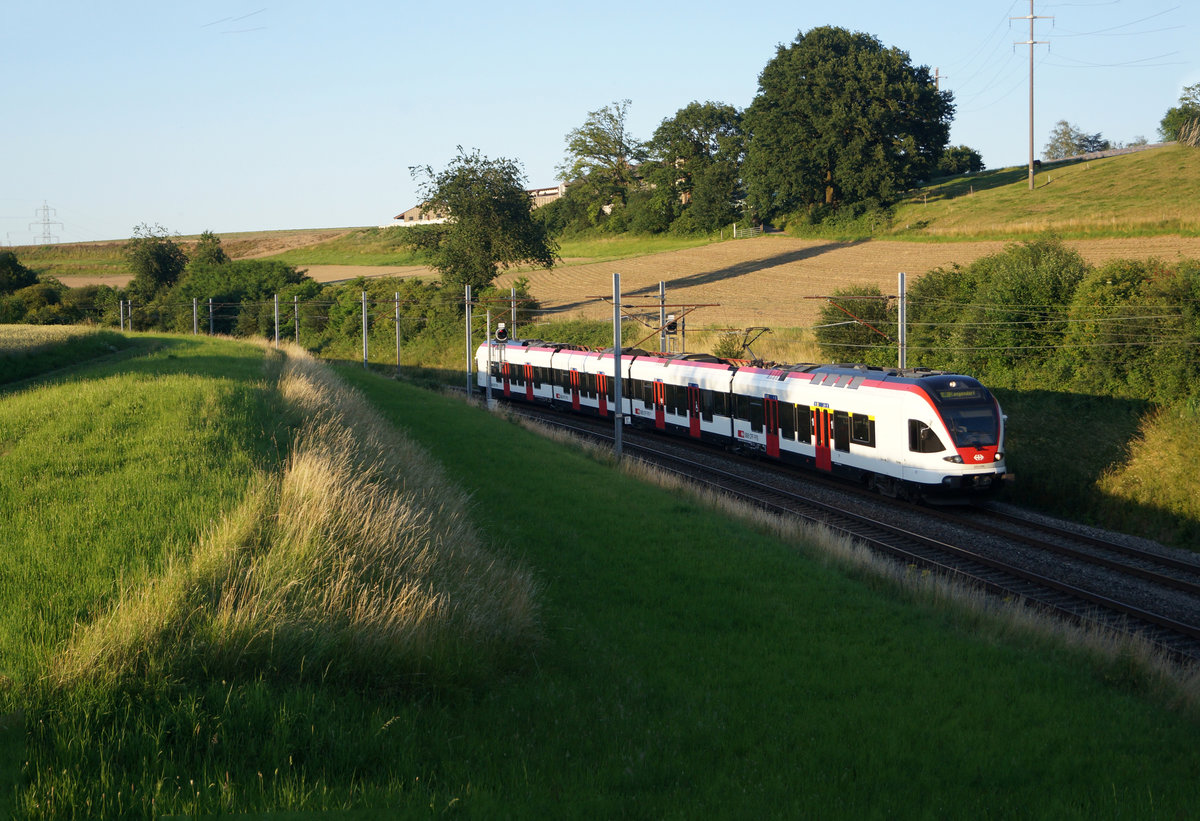 Regio nach Langendorf im letzten Abendlicht.
Diese Aufnahme vom RABe 523 034 ist am 24. Juni 2020 bei Niederbipp entstanden.
Foto: Walter Ruetsch