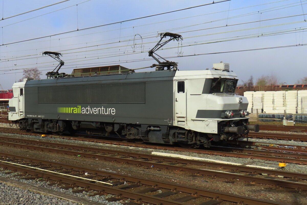 RXP 9903 -in RADVE Farben- lauft am 2 März 2025 um in Amersfoort.