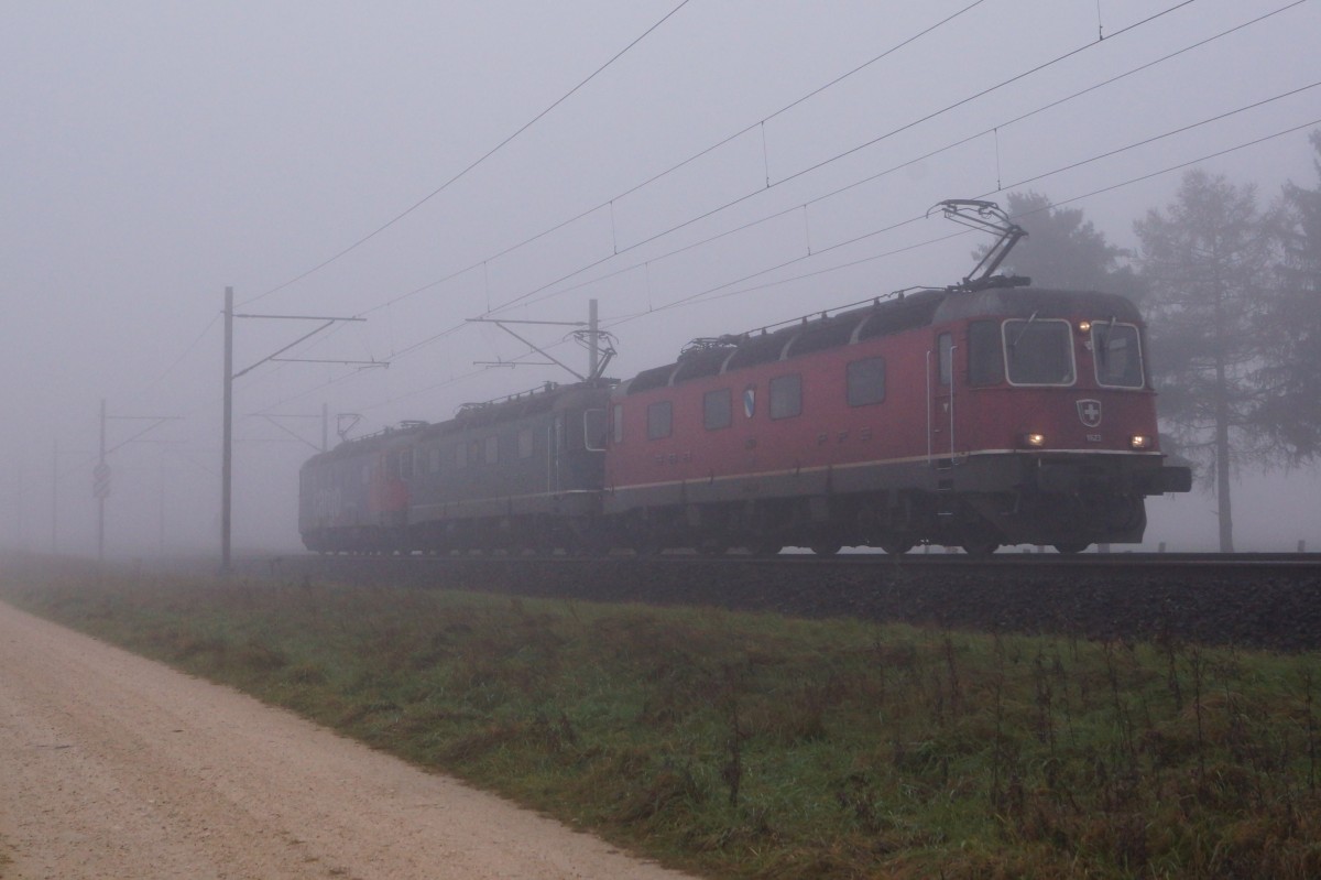 SBB: Infolge ausserordentlich schwerer Güterlast schleppten am 8. November die beiden Re 6/6 11 633 Eglisau und 11 623 Rupperswil den samstäglichen Güterzug nach Gerlafingen. Normalerweise reicht für diese Leistung eine Re 6/6. Aus diesem Grunde verkehrte der Lokzug ab Solothurn-HB mit drei Re 6/6 anstatt nur mit einer Doppeltraktion. Die Aufnahme von den drei Re 6/6 in drei verschiedenen Lackierungen (11 623 Rupperswil, 11 633 Eglisau und 620 061-2 Gampel-Steg) ist leider bei Niederbipp noch im dichten Herbstnebel entstanden.   
Foto: Walter Ruetsch 
