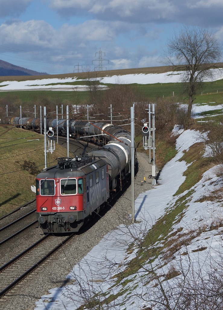 SBB: Re 420 268-5 mit einem langen Kesselwagenzug zwischen Niederbipp und Wangen an der Aare am 25. Februar 2015.
Foto: Walter Ruetsch