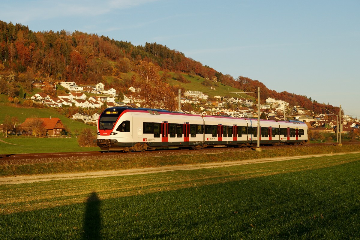 SBB: RE nach Olten im herbstlichen Abendlicht mit einem Triebzug 523 FLIRT von Stadler Rail bei Egolzwil am 8. November 2015.
Foto: Walter Ruetsch