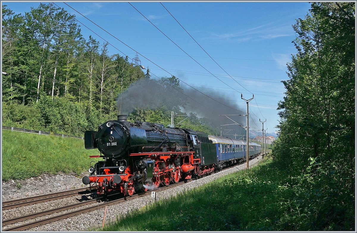 Sieben auf einen Streich: Und zuletzt, als würdiger Abschluss, die herrliche 01 202, welche mit ihrem perfekt passenden D-Zug, pünktlich wie die Eisenbahn, kurz nach Bussigny bei Kilometer 8.3 an mir vorbei Richtung Biel/Bienne eilte. Der Zug war wirklich schnell unterwegs: ein Nonstop-IC braucht für die Strecke Genève - Lausanne 34 Minuten, die Dampflok benötigt für die unwesentlich kürzere Distanz von Genève bis Bussigny nur 41 Minuten!

8. Juni 2019