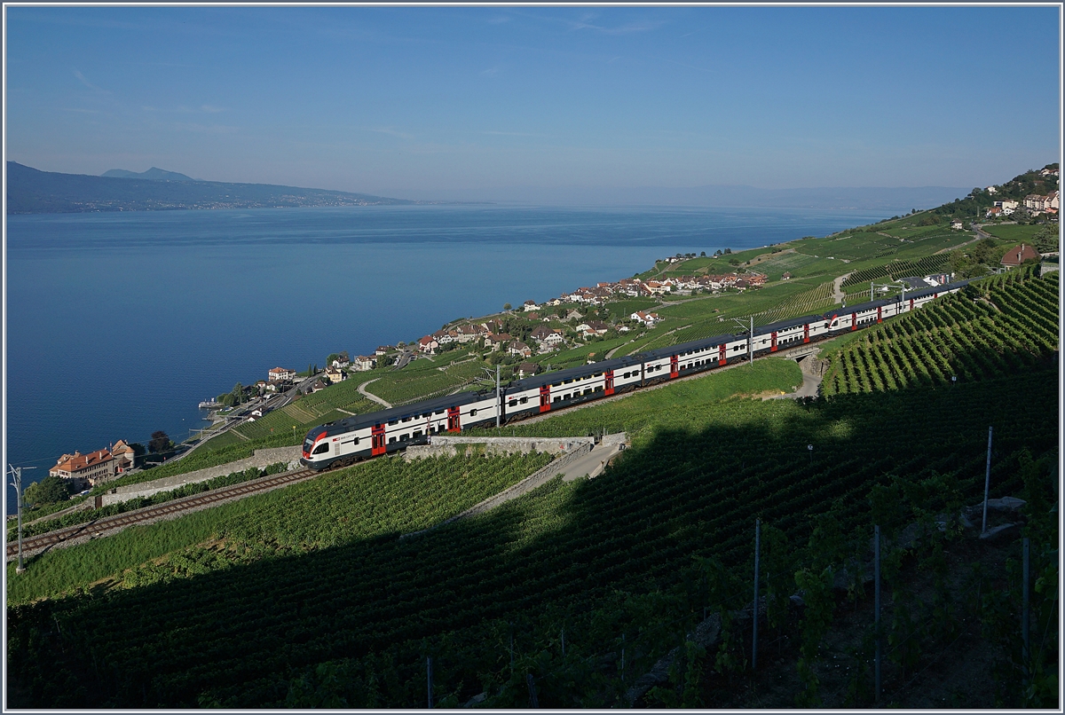 Sommerfahrplan 2018: durch die baubedingte Sperrung der Strecke Lausanne - Puidoux-Chexbres verkehren während des Sommerfahrplan die RE Genève - Vevey via Chexbres weiter bis Fribourg. die Bilder zeigen die Zusatzzüge auf der  Train de Vignes Strecke  am frühen Morgen oberhalb von Rivaz, bei Chexbres.
27. Juli 2018