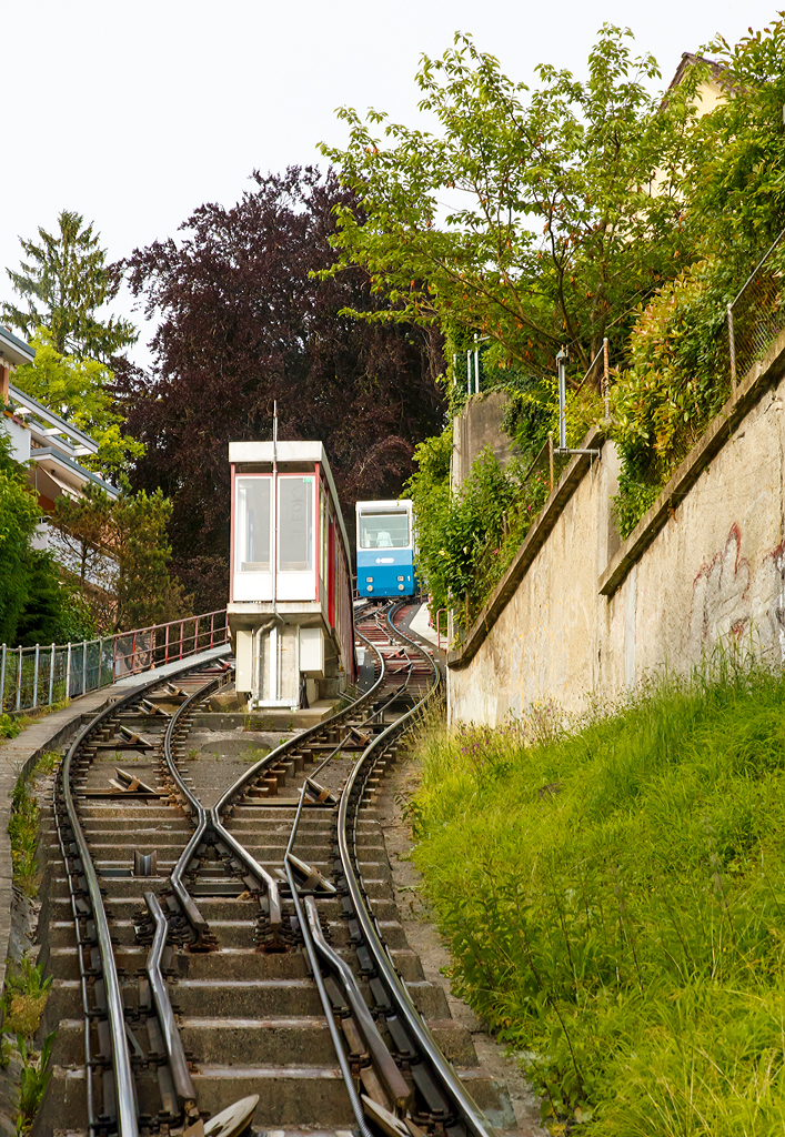 
Standseilbahn Rigiblick in Z�rich am 06.06.2015, der Wagen 1 kommt auf Talfahrt, w�hrend wir im Wagen 2 auf Bergfahrt sind, hier an der Kreuzungstation Hadlaubstrasse mit den abtsche Weichen (auch Abt´sche Weiche oder abtsche Ausweiche)