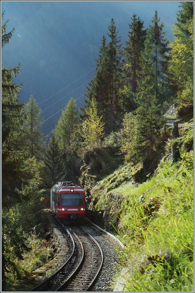 TMR (M-C) BDeh 4/8 21 (SNCF Z800 UIC N� 90 85 838 0821-1 CH-TMRSA) f�hrt im Gegenlicht auf dem Stromschienenabschnitt zwischen Finhaut und Le Tr�tien talw�rts.
3. Okt. 2014