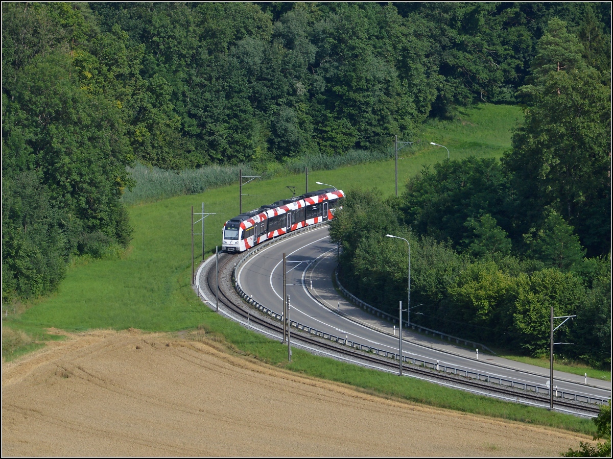 Triebwagen der Frauenfeld-Wil-Bahn ABe 4/8 zwischen Murkart und L�dem. Juli 2014.