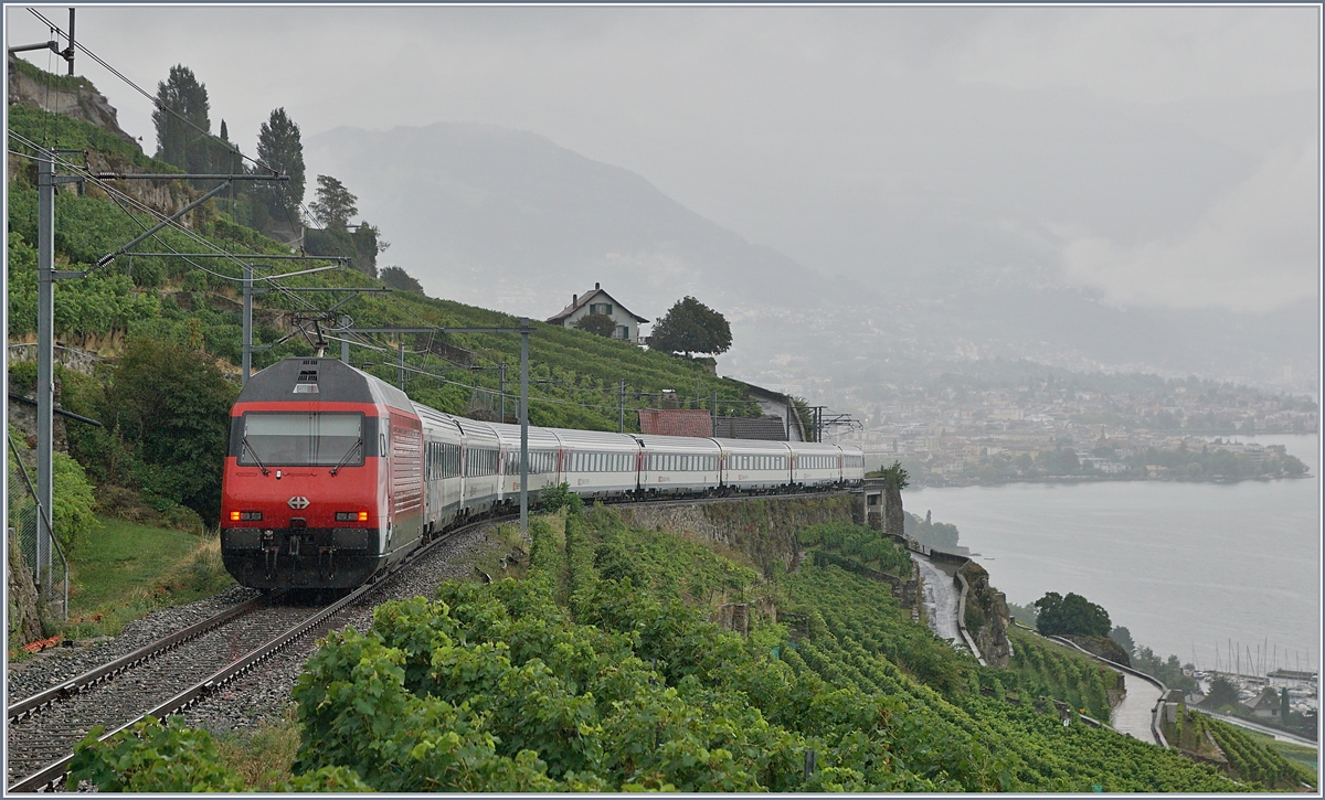 Umleitungsverkehr via die  Train des Vignes  Strecke infolge Restaurierung des Bertholod Tunnels: Die SBB RABe 460 ist mit ihren IR 30913 auf dem Weg nach St-Maurice und konnte oberhalb von St-Saphorin auf Train des Vignes Strecke fotografiert werden.

29. August 2020
