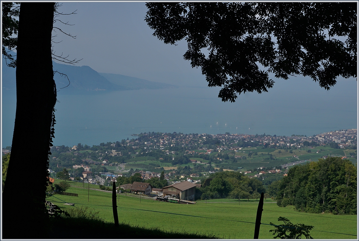 Und noch eine Dapflok: Die B-C G 2x 2/2 105 ist mit einem Zug von Blonay nach Chamby unterwegs.
1. Aug. 2017
