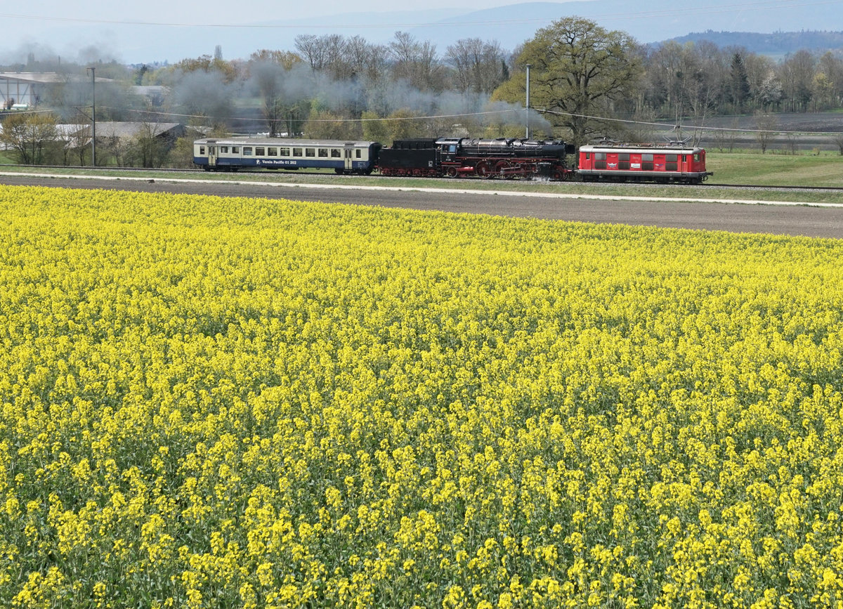 Verein Pacific 01 202.
Nachdem die Trieb- und Kuppelstangen der 01 202 aus Meiningen zur�ck und wieder montiert sind, fand am 22. April 2021 die geplante Probefahrt rund um den Bielersee statt.
Der Testzug bestand zus�tzlich aus der Re 4/4 l 10009, ehemals SBB und einem BD, ehemals BLS.
Bei Fr�schels.
Foto: Walter Ruetsch
