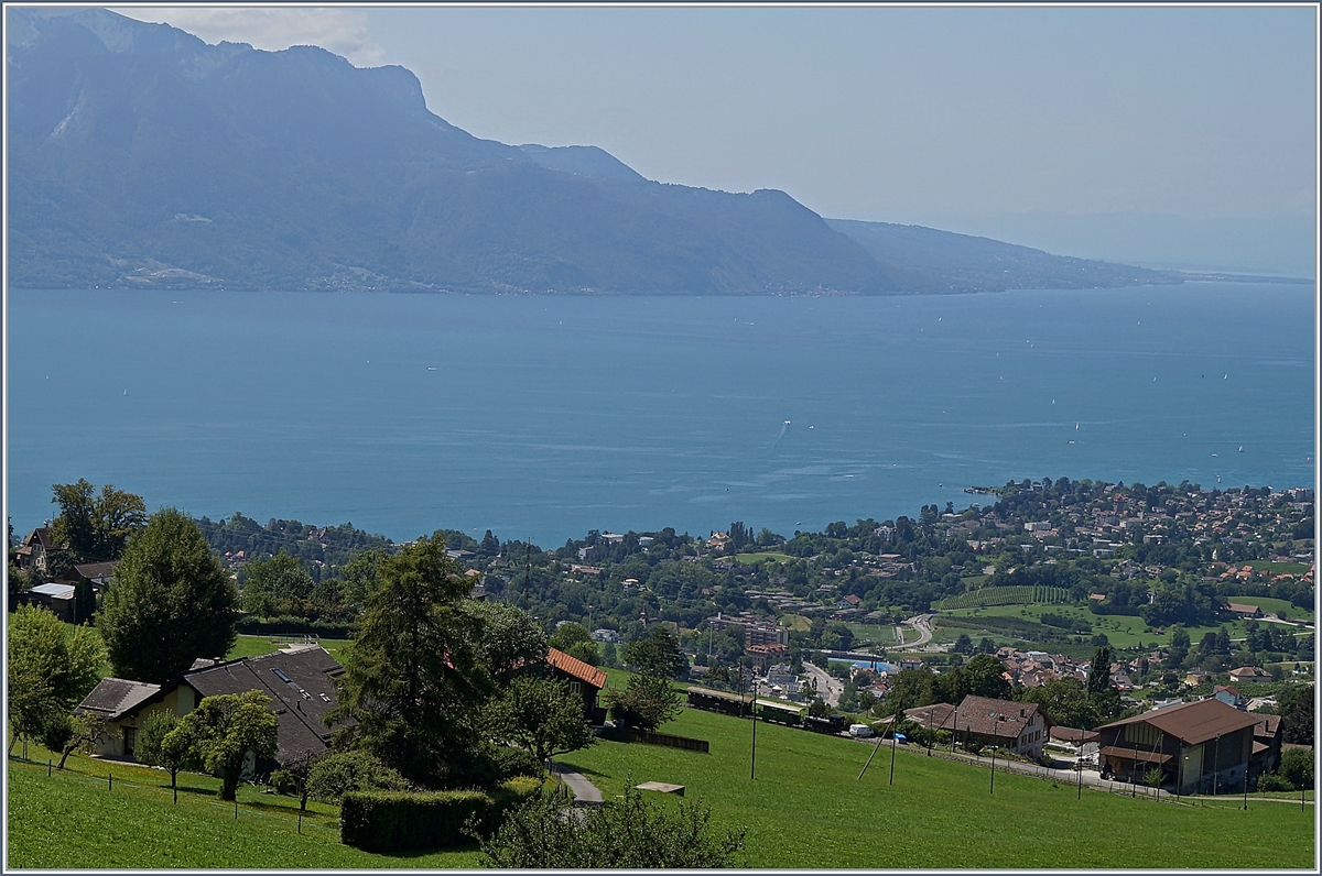 Viel Landschaft und sehr wenig Zug: die Blonay-Chamby G 3/3 N° 6 ist mit ihrem Dampfzug bei Cornaux auf der Fahrt nach Blonay 11. August 2019