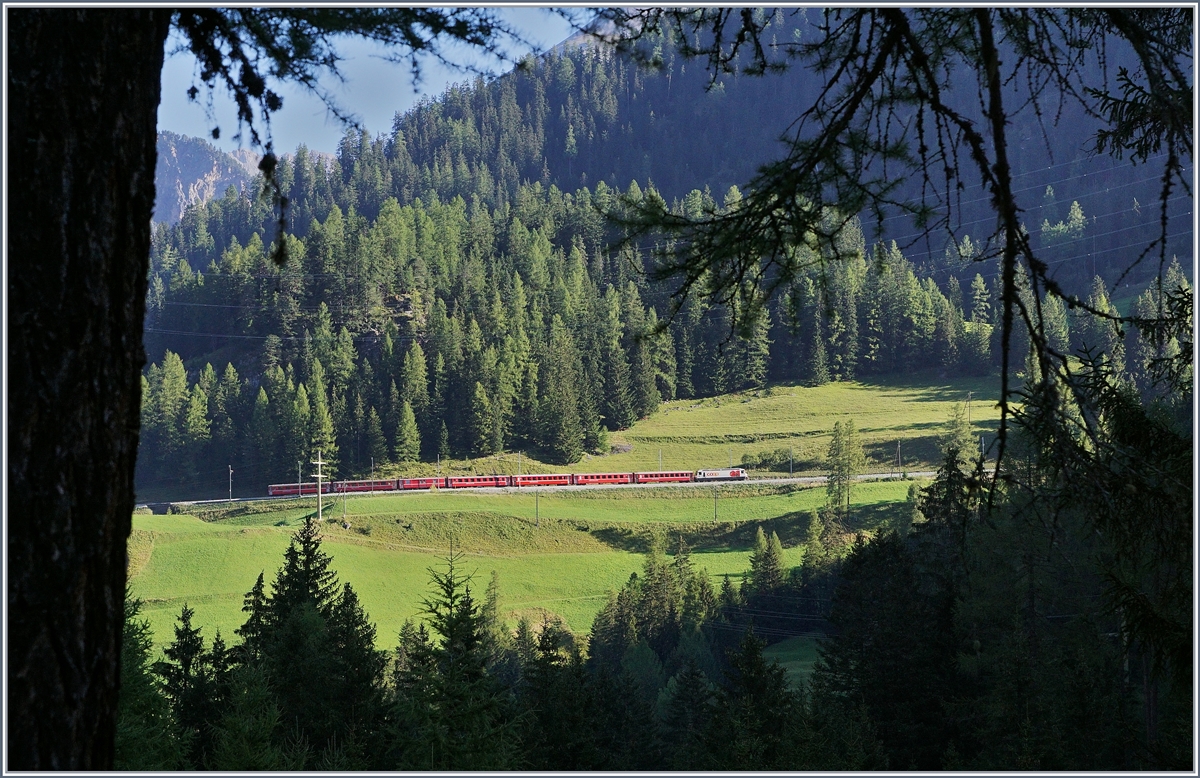 Während die sich Bahnlinie von Bergün nach Preda Anfangs am östlichen Hang hoch windet, verläuft der Bahnwanderweg am westlichen Hang, so dass nur ein eingeschränkter Blick auf Strecke möglich ist.
Die RhB Ge 4/4 III  coop  mit einem Schnellzug von Chur nach St.Moritz kurz vor der Diestnstation Muot.
14. Sept. 2016