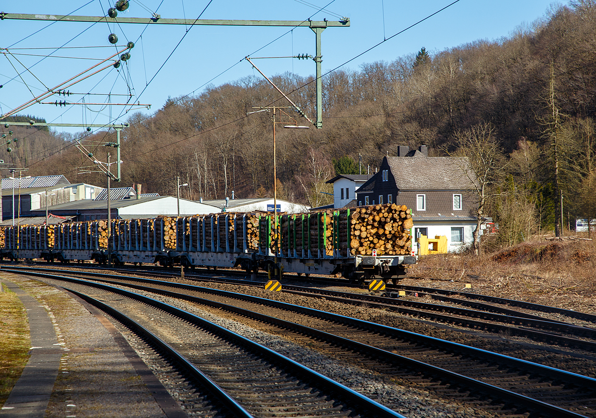Wieder wird ein mächtiger Holzzug beladen...
Am 18.03.2022 sind schon einige vierachsige Drehgestell-Flachwagen der Gattung Snps fertig mit Stammholz beladen und stehen beim Kleinbahnhof Scheuerfeld/Sieg der Westerwaldbahn (WEBA). Weiter werden dahinter noch beladen. 

Es gibt gewaltige Forstschäden an dem kompletten Fichtenbestand durch den Borkenkäfer in der Region. Mit der Abholzung kommt man nicht hinterher. Unteranderem findet die Holzverladung auf die Schiene statt in der Region am Kleinbahnhof Scheuerfeld/Sieg der Westerwaldbahn (WEBA) statt.