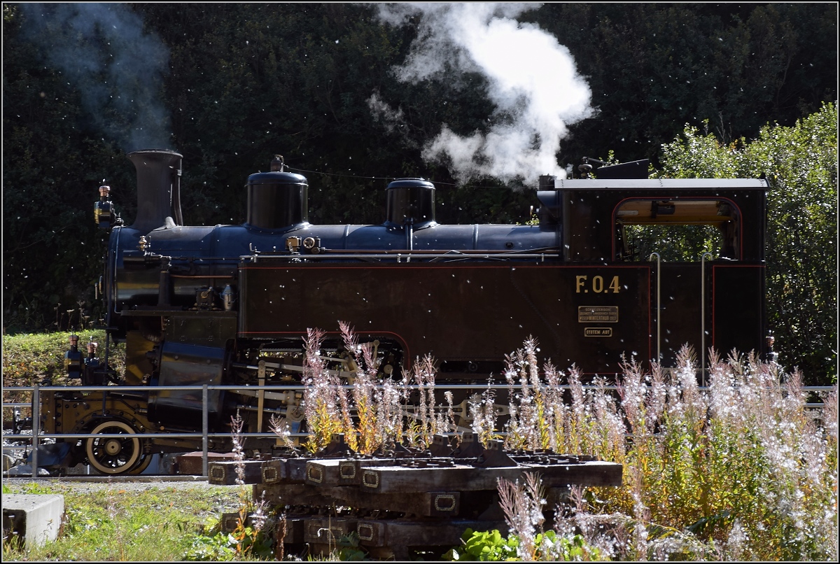 Zufällig vorbeigekommen an der FO Nr. 4. Die muss man in ihrem natürlichen Habitat natürlich gleich ablichten. Gletsch, Oktober 2018.