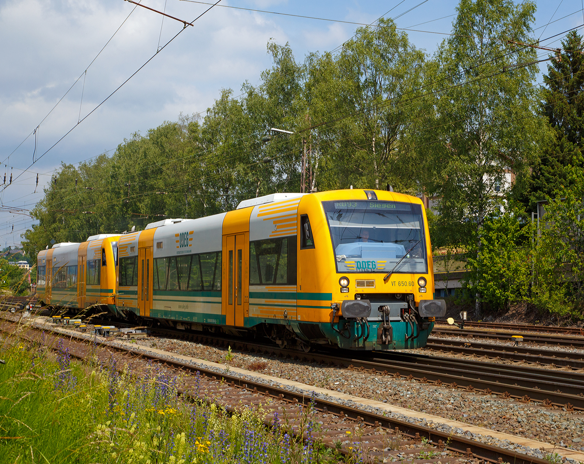 
Zwei gekuppelte, von der HLB (Hessische Landesbahn) angemietete, Stadler RegioShuttle RS 1 (BR 650) der Ostdeutsche Eisenbahn GmbH, fahren am 18.06.2015, als DreiLänderBahn RB 93  Rothaarbahn  (Bad Berleburg - Kreuztal - Siegen), von Kreuztal weiter in Richtung Siegen. 

Vorne VT 650.60 (95 80 0650 060-6 D-ODEG) und ein weiterer.  Die VT sind Eigentum der BeNEX GmbH, Hamburg. 