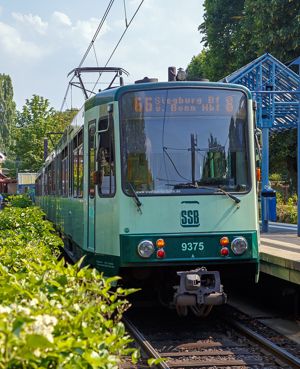 
Zwei gekuppelte Triebwagen 9375 und 937x der SSB (Elektrische Bahnen der Stadt Bonn und des Rhein-Sieg-Kreises) haben am 14.07.2018 die Endstation Bad Honnef erreicht und stehen nun wieder als Linie 66 nach Siegburg Bf über Bonn Hbf (Telekom Express) zur Abfahrt bereit.
 
Bei den Gelenk-Fahrzeugen handelt es sich um Stadtbahnwagen Typ B der dritten Generation (fünfte Serie) von der Düsseldorfer Waggonfabrik DUEWAG, mit Typbezeichnung DUEWAG B100C /6. Die Typbezeichnung bedeutet B-Wagen; Höchstgeschwindigkeit 100 km/h; Gleichstrommotor mit Chopper-Steuerung; Sechsachser

TECHNISCHE DATEN:
Baujahr: 1993
Spurweite: 1.435 mm
Bauart: 6xGlTwZR
Achsfolge: Bo'+1'1'+Bo'
Gesamtlänge: 28.000 mm 	
Wagenkastenbreite : 2.650 mm
Eigengewicht: 39.400 kg
Dienstgewicht: 56.885 kg
Leistung: 2 x 235 kW = 470 kW
Höchstgeschwindigkeit: 100 km/h
Netzspannung: 	750 V DC Oberleitung
Niederfluranteil: 0 %
Sitzplätze: 72
Stehplätze: 111(4 Pers/m²)
Fußbodenhöhe: 	1.000 mm

Wer heute mit der Bonner Stadtbahnlinie 66, dem  Telekom-Express , zwischen Bad Honnef, Bonn und Siegburg unterwegs ist, wird kaum noch wissen, dass es sich um eine ehemalige elektrische Kleinbahn handelt, die mit dem ellenlangen Namen  Elektrische Bahnen der Kreise Bonn-Stadt, Bonn-Land und des Siegkreises SSB  unter Beteiligung der genannten Gebietskörperschaften gegründet wurde, um sowohl den Siebengebirgsraum als auch die Kreisstadt Siegburg mit Bonn zu verbinden. Die Abkürzung  SSB  bedeutet übrigens  Siegburger und Siebengebirgsbahn . Die gesamte Betriebsführung obliegt seit 2004 jedoch der SWB Bus und Bahn (Tochter der Bonner Stadtwerke).
