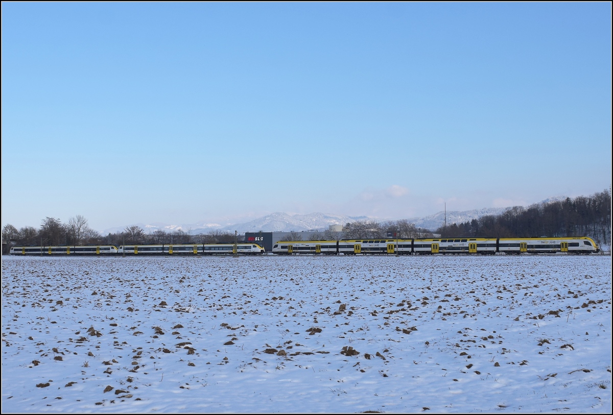Zwischen Belchensystem und Blauendreieck. 

Neue Züge und eine echte Unterscheidung zwischen Regionalexpress und Regionalbahn gibt es am Oberrhein. Auch die Fahrzeugtypen manifestieren den Unterscheid. Der Regionalexpress wird mit Desiro HC bedient, BR 462, mittlerweile auch Kamel genannt. Die Regionalbahn wird mit dem neuen Mireo bedient, auch Karpfen genannt, hier vertreten durch 463 022 und 463 005. 

Die Fotostelle südlich von Buggingen war offenbar in Vorbereitung der Baustelle Ausfädelung Hügelheim entstanden, das muss man noch nutzen, bevor die Bagger anrollen und die Wege unpassierbar machen... Man beachte auch den Zewa Wisch und Weg streifenfreien Corona-Himmel... Februar 2021.