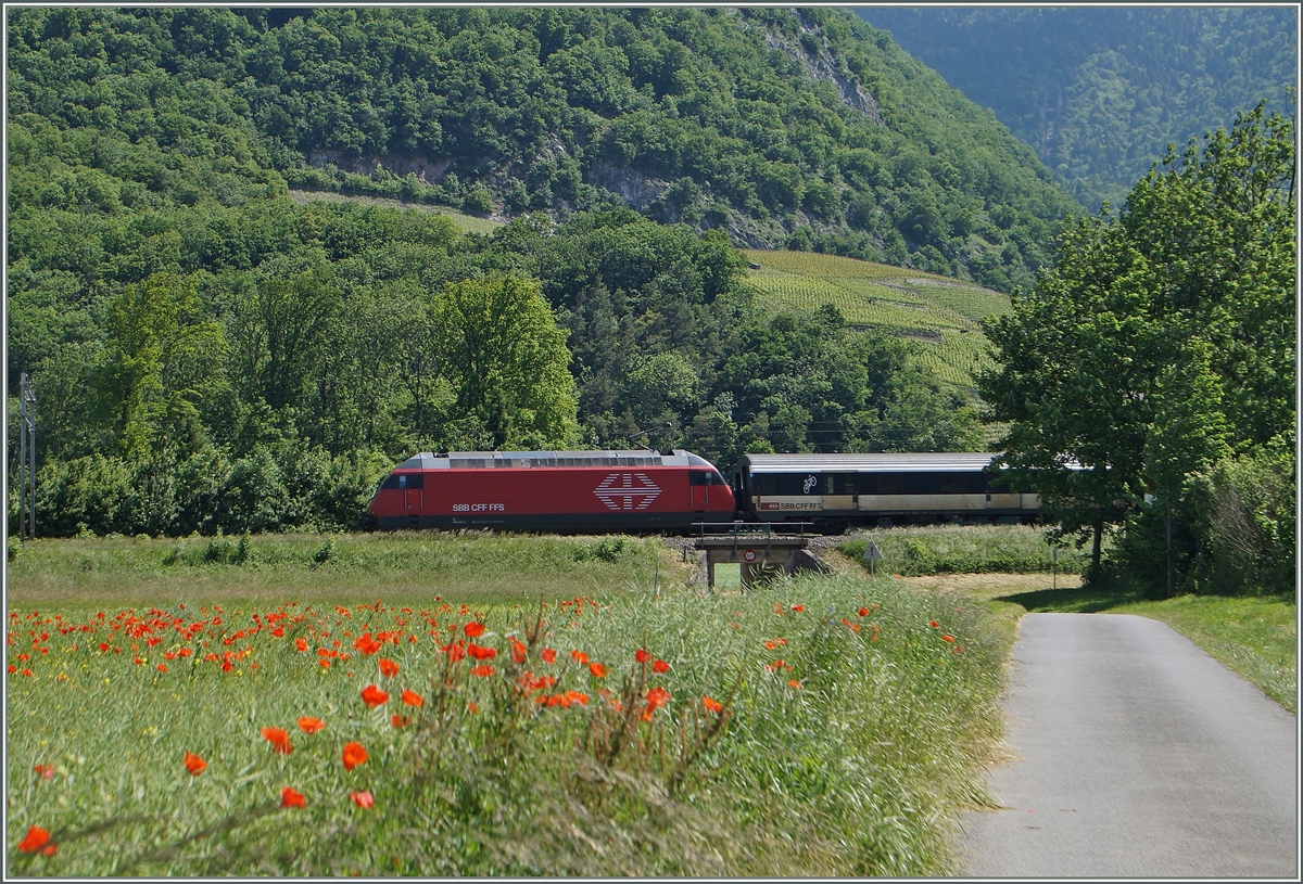 Zwischen Yvorne und Roche VD konnte ich die Zuglok Re 460 und den SNCF D des IR 1822 ablichten.
27. Mai 2015