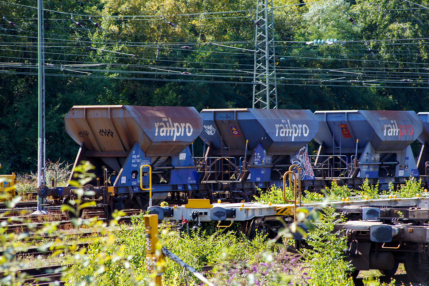 Da sie gut bedienbar und dosierbar sind, sind sie im Gleisbau sehr beliebt. Ein Wagenzug vierachsiger offene Schüttgutwagen mit dosierbarer Schwerkraftentladung (Schotterwagen) der Gattung Fccpps der voestalpine Railpro B.V (NL), ganz links z.B. 23 84 6437 154-7 NL-RP, abgestellt am 26 August 2025 im Rbf Betzdorf/Sieg.

Diese Wagen wurden ab 1962 von Talbot in Aachen für die NS als Fcs oder als Tds gebaut. Ab 1982 wurden die Wagen von den Firmen Jansen und WBA (NL) zu Fccpps umgebaut. Die Firma  Railpro  mietete diese Wagen ab 1995 an bzw. kaufte sie 2002 von der NS und ließ sie aufarbeiten, dabei erhielten sie einen blauen Neuanstrich und den Schriftzug railpro. Seit 2002 gehört Railpro zur der österreichischen Voestalpine Gruppe.

Bei den Gleisbaufirmen sind sie sehr beliebt, da sie sich der Schotter beim Einschottern sehr gut dosieren lässt. Der Auslauf ist verstellbar, daher lässt sich der Schotter auch gut verteilen.

TECHNISCHE DATEN:
Spurweite: 1.435 mm (Normalspur)
Anzahl der Achsen: 2
Länge über Puffer: 9.640 mm
Achsabstand: 6.000 mm
Eigengewicht: 10.340 kg
Ladevolumen: 22 m³
Max. Ladegewicht: 28.200 kg (ab Streckenklasse C)
Höchstgeschwindigkeit: 100 km/h (beladen) 120 km/h (leer)
Bauart der Bremse: O-GP (LL)
Bremssohle: IB 116
Handbremse: keine