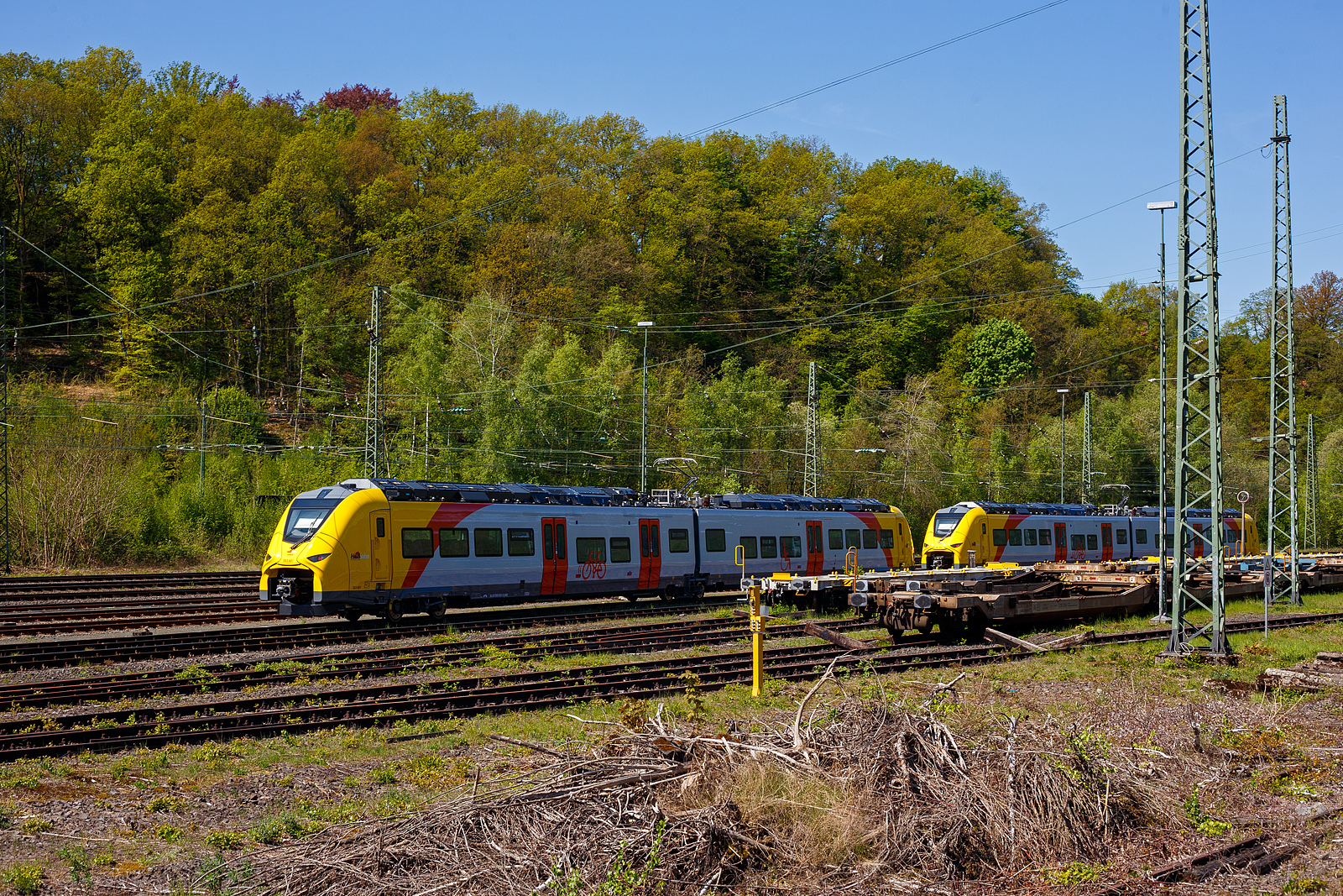 Das ist der neue Klimaschutz am Westerwald....
Zwei der drei neuen zweiteiligen Hybridtriebzüge (E/Akku) der BR 563 vom Typ SIEMENS Mireo Plus B der HLB (Hessische Landesbahn GmbH) sind am 30 April 2025 in Betzdorf/Sieg abgestellt. Links der 563 801/563 901 (94 80 0563 801-0 D-HEB / 94 80 0563 901-8 D-HEB) und rechts daneben der 563 803/563 903 (94 80 0563 803-6 D-HEB / 94 80 0563 903-4 D-HEB)

Die beiden zweiteiligen SIEMENS Mireo Plus B wurden 2024 von SIEMENS in Krefeld gebaut. 

Auszug aus der Pressemitteilung der HLB:
Alternative Antriebe im Norden von Rheinland-Pfalz: Durchbruch beim Pilotprojekt mit Batteriezügen im Westerwald / Zuschlag an Siemens Mobility für Mireo Plus B Fahrzeuge

Als Aufgabenträger für den Nahverkehr auf der Schiene im Norden von Rheinland-Pfalz setzt sich der SPNV-Nord gemeinsam mit seinen Projektpartnern von Bund, Land und Eisenbahnverkehrsunternehmen (EVU) für den Einsatz von alternativen Antrieben als Abkehr vom Dieselbetrieb ein.

Dabei konnte bereits im letzten Jahr für die Beschaffung der Fahrzeuge eine Unterstützung aus dem Förderprogramm des Bundesministeriums für Digitales und Verkehr (BMDV) für alternative Antriebe gewonnen werden.

Als Besonderheit sollen im SPNV-Nord erstmalig die beiden Antriebstechnologien für die Dekarbonisierung des Schienenverkehrs, Wasserstoff und Batterieelektrik, nebeneinander im mehrjährigen Fahrgastbetrieb zum Einsatz kommen mit einer vollständigen Rückfallebene mit Dieselfahrzeugen.

Das betrifft auch den Pilotbetrieb mit drei batterie-elektrischen Fahrzeugen im Westerwald, der zum Fahrplanwechsel im Dezember 2025 geplant ist. Dieser sieht einen Fahrzeugeinsatz auf der RB 90 Limburg – Au – Siegen (Oberwesterwaldbahn und Siegstrecke) und auf der RB 29 Limburg – Siershahn (Unterwesterwaldbahn) durch die Hessische Landesbahn (HLB) vor. Bei diesem Pilotprojekt wurde jüngst ein wichtiger Durchbruch erzielt:

Als Ergebnis der von der HLB dafür durchgeführten Fahrzeugausschreibung hat Siemens Mobility jetzt den Zuschlag für drei zweiteilige Mireo Plus B Batteriezüge erhalten. Das Fahrzeug mit seiner hohen Antriebsleistung ist für den anspruchsvollen Einsatz im Westerwald bestens geeignet. Der geplante Einsatz der drei Batteriezüge auf den Linien RB 90 und RB 29 umfasst eine Jahresfahrleistung von fast 400.000 Zug-km und ersetzt drei Dieselfahrzeuge. Da die HLB emissionsfreien Bahnstrom bezieht, werden jährlich fast 1.150 Tonnen CO2 eingespart. Der Betrieb der Batteriefahrzeuge erfordert keine neue Infrastruktur, denn die Wendezeiten in Limburg von über 20 Minuten auf der RB 29 werden für die Aufladung der Fahrzeuge ausreichend sein. Bei den auf der RB 90 verkehrenden Batteriefahrzeugen erfolgt dies im elektrifizierten Abschnitt zwischen Au und Siegen. Die Oberwesterwaldbahn (Limburg – Au) ist mit der Länge von rund 75 km und der zu überwindende Höhe von ca. 350 m derzeit in Deutschland die anspruchsvollste Strecke für den vorgesehenen Einsatz von Batteriezügen.

Die Ausschreibung der Batteriefahrzeuge war so ausgestaltet, dass die Hersteller die Möglichkeit hatten, die Fahrzeuge in laufende Bestellungen zu integrieren, so dass eine schnelle Lieferzeit in Aussicht gestellt wurde.

Siemens Mobility baut für den Einsatz im Westerwald drei zweiteilige Mireo Plus B Batteriezüge, die durch jeweils drei Türen pro Seite einen schnellen Ein- und Ausstieg ermöglichen. Die Züge verfügen für den Betrieb unter Oberleitung und zum Aufladen der Batterien über einen Stromabnehmer und verkehren auf den nicht-elektrifizierten Strecken im Batteriebetrieb. Die geräumigen Fahrzeuge bieten den Fahrgästen 126 Sitzplätze und 156 Stehplätze und sind mit einer speziellen Einstiegshilfe ausgestattet, die mobilitätseingeschränkten Menschen das Bahnfahren erleichtert.

Die neuen Batteriezüge werden auf der Oberwesterwaldbahn Limburg – Altenkirchen - Au - Siegen, und auf der Unterwesterwaldbahn zwischen Limburg – Montabaur – Siershahn unterwegs sein. Die Strecke der OWB beträgt ca. 115 km, davon sind ca. 75 km ohne Fahrdraht. Es ist vorgesehen die Züge in Limburg und auf dem Teilabschnitt Au – Siegen nachzuladen. Auf der UWB beträgt die nicht elektrifizierte Strecke ca. 35 km. Damit ist ein Zugbetrieb hin und zurück ohne Nachladen möglich. Insgesamt werden die Züge über 50 Bahnhöfe anfahren.

TECHNISCHE DATEN:
Spurweite: 1.435 mm
Achsfolge: Bo’-2’-Bo’
Fahrzeuglänge über Kupplung: 46.560 mm
Drehzapfenanstand: 2 x 17.930 mm
Anzahl der Türen je Seite: 3
Installierte Leistung: 1.700 kW
Leistungsübertragung: elektrisch
Motoren: 2 Drehstrom-Asynchronmotoren
Höchstgeschwindigkeit: 140 km/h 
Kupplung: Mittelpufferkupplung Schaku Typ 10
kleinster befahrbarer Gleisbogen: R 150 m (Normal) / R 100 m (Werkstatt)

Ein kleiner Nachteil gegenüber den LINT-Dieseltriebzügen ist mir aufgefallen, die Gesamt-Fensterfläche ist geringer. Ich bin aber sehr gespannt auf den Betriebseinsatz und wie es läuft.
