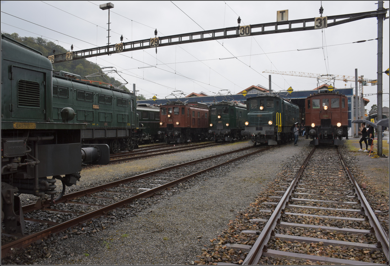 Depotfest Olten 2023. 

Kaum waren alle G�ste da, ging der Regen los. Gemeint sind auch die auf der Schiene angereisten G�ste mit den vielen Stahlr�dern. Der Stimmung tat es keinen Abbruch. Wer sich in den Regen gewagt hatte, wurde mit ungest�rtem Blick auf die Exponate belohnt. Im Bild sind vereint von links: Ae 8/14 mit der Schnauze, Ae 3/6 I 10664, Ae 6/6 11415 'Aargau', Ae 3/6 II 10469, Ae 3/5 10217,  Ae 4/7 11026 und Ae 3/6 III 10264. August 2023.

Wer die Bilder des Depotfests zusammenh�ngend sehen m�chte, kann auf diesen Link klicken: http://igschieneschweiz.startbilder.de/bild/vereine~sbb-historic~ae-36-iii-10264/847572/depotfest-olten-2023-die-mittlere-scheron.html