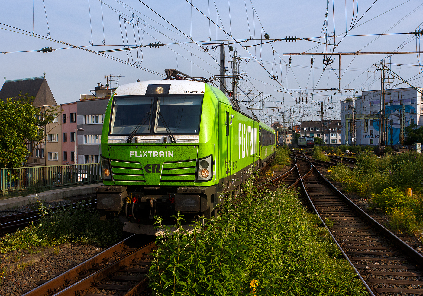Die an die FlixTrain GmbH (München) vermietete SIEMENS Vectron AC 193 437 (91 80 6193 437-1 D-ELOC) der ELL - European Locomotive Leasing (Wien) fährt am 18 Juni 2025 mit dem FlixTrain FLX 1233 (Köln Hbf nach Berlin Hbf) in den Hauptbahnhof Köln ein.

Die Vectron AC wurde 2023von Siemens Mobilitiy in München-Allach unter der Fabriknummer 23571 gebaut und an die ELL geliefert. Diese Vectron Lokomotive ist als AC – Lokomotive (Wechselstrom-Variante) mit 6.400 kW Leistung und für eine Höchstgeschwindigkeit von 200 km/h konzipiert. Sie wurde in der Vectron Variante AC B14 ausgeführt und hat so die Zulassungen für Deutschland, Österreich, Ungarn, Tschechien, Slowakei, Rumänien und Bulgarien (D / A / H / CZ / SK / RO / BG). So besitzt die Variante AC B14 folgende Zugsicherungssysteme:
ETCS BaseLine 3, sowie für 
Deutschland (PZB90 / LZB80 (CIR-ELKE I))
Österreich (ETCS Level 1 mit Euroloop, ETCS Level 2, PZB90 / LZB80)
Ungarn (ETCS Level 1, EVM (Mirel))
Tschechien und Slowakei (LS (Mirel))
Rumänien und Bulgarien (PZB90)
