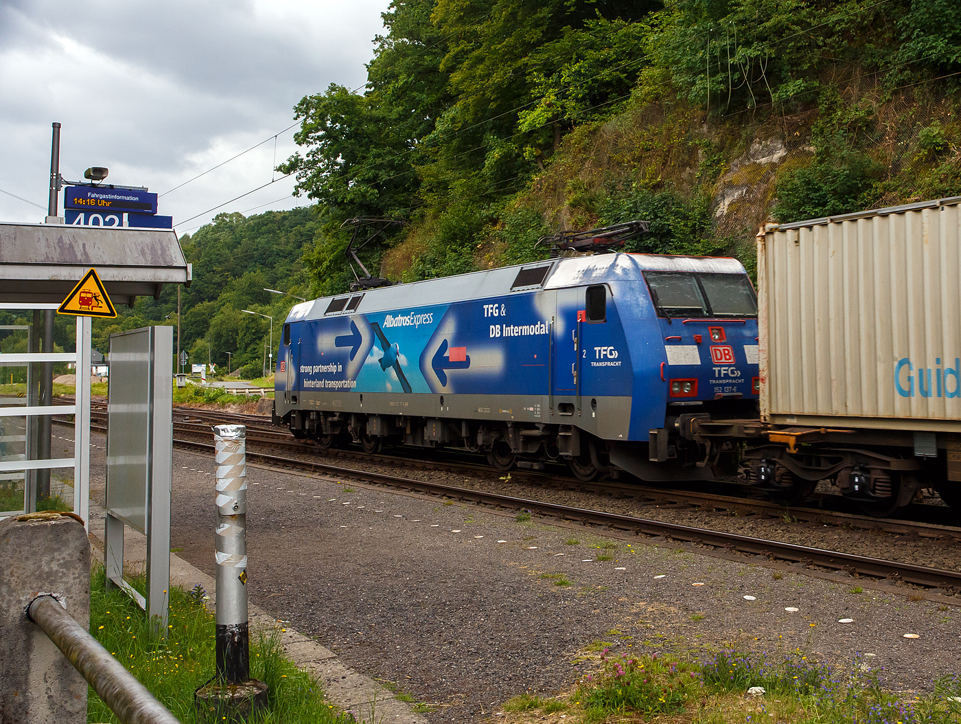 Die DB - TFG Transfracht  AlbatrosExpress  152 137-6 (91 80 6152 137-6 D-DB) der DB Cargo AG (mit Gansreklame TFG & DB Intermodal) fährt am 16 Juli 2025 mit einem KLV-Zug durch Scheuerfeld/Sieg) in Richtung Siegen. Für ein besseres Bild war ich leider zu langsam.

Die Siemens ES 64 F wurde 2000 von der Krauss-Maffei AG / Siemens in München-Allach unter der Fabriknummer 20264 gebaut. Neben der Zulassung für Deutschland, sind mit Sondervereinbarung auch Fahrten nach A, CH, DK und NL möglich.
