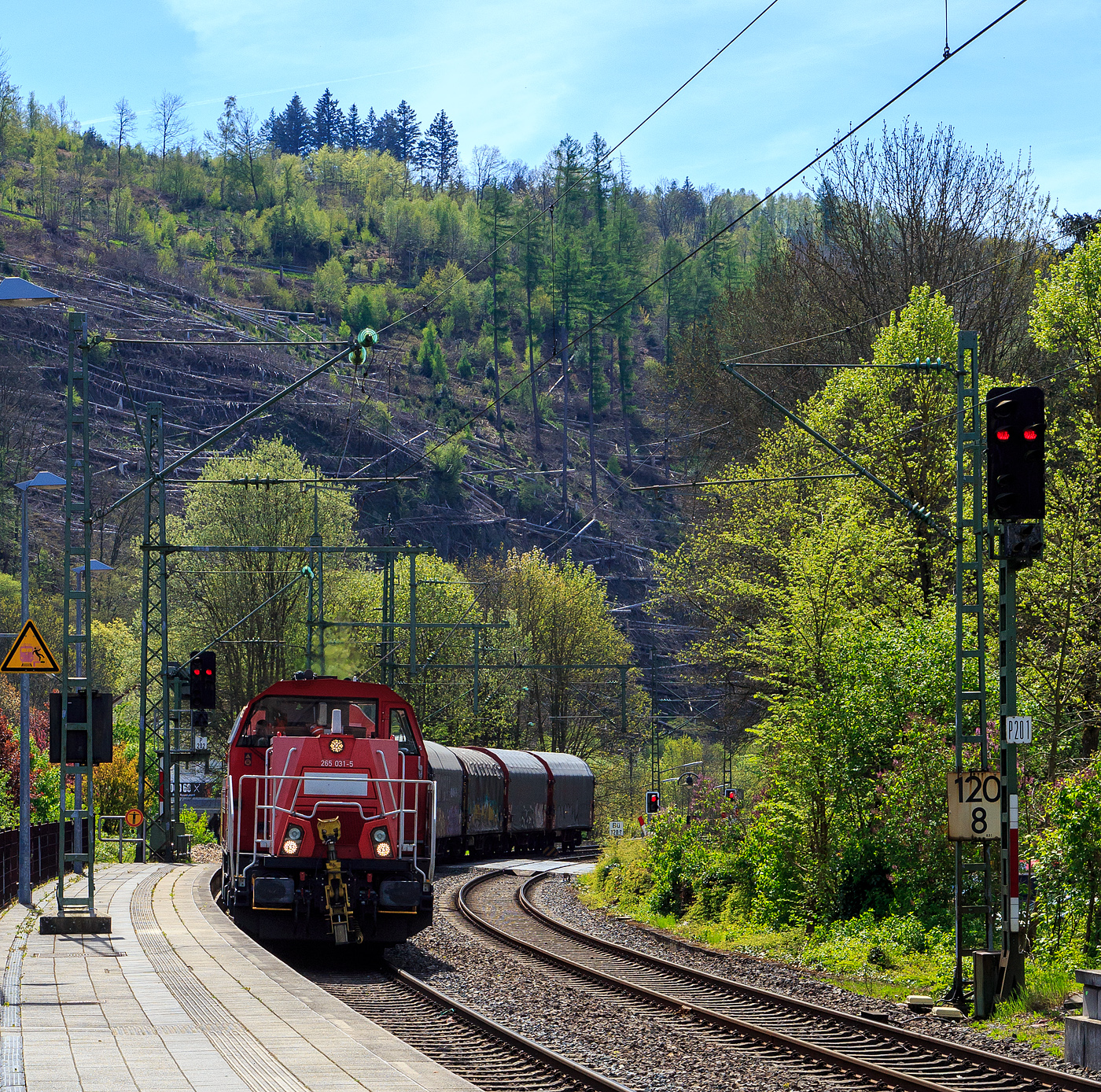 Die Kreuztaler 265 031-5 (92 80 1265 031-5 D-DB), eine Voith Gravita 15L BB der DB Cargo AG, fährt am 04.05.2023 mit einem Coilzug (Wagen der Gattung Shimmns) durch den Bahnhof Kirchen (Sieg) in Richtung Siegen bzw. Kreuztal.