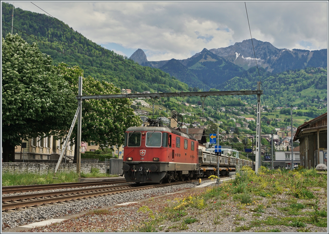 Die SBB Re 4/4 II 11195 ist mit einem Güterzug in Clarens auf dem Weg in Richtung Vevey.

14. Mai 2024