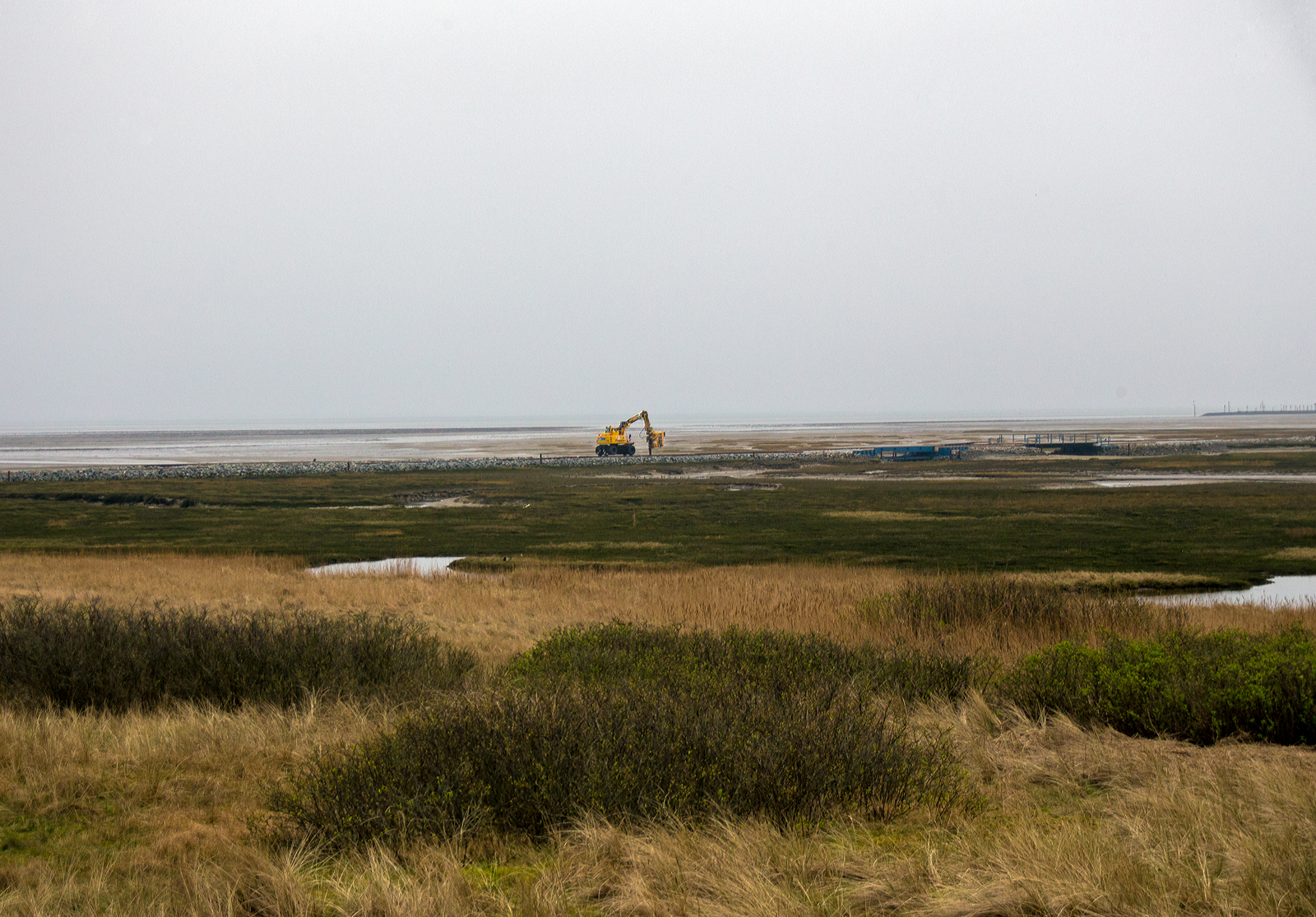 Ein ATLAS 1404 ZW-CR Zweiwege-Schmalspurbagger der SNG mit einem BSB - tinbin TC2 Saugbagger-Anbaugerät, reinigt am Nachmittag des 12 März 2024 das Gleisbett der Wangerooger Inselbahn. Hier auf dem Steindamm in den Salzwiesen auf halber Strecke zwischen Ort Wangerooge und dem Westanleger. Das Gleis führt über einen Priel, mehrere Eisenbahnbrücken (wie rechts) ermöglichen den Tidefluss (auf- und abfließen Gezeiten) im Priel zwischen der Salinenbucht und der Westlagune. 

Bei extremen Hochwasser oder Sturmfluten wir aber auch schon mal das ganze Gleis überspült, so ist dann auch mal so eine Reinigung des Gleisbettes nötig, die mit der heutigen Saugbagger-Technik weit einfacher ist als früher. 

Die Bücken liegen bei Flut oft im Wasser der Nordsee, welches bekanntlich salzhaltig ist (hier bei Wangerooge bis zu 3,5 %) und so aggressiv auf dem Stahl einwirkt. So bedürfen die Bücken viel Pflege- und Wartungsaufwand und halten nur begrenzt. Die linke (rund 12 m lange und ca. 20 t schwere) Brücke wurde erst (vor wenigen Tagen) Ende Februar 2024 neu eingesetzt, sie ersetzte eine aus dem Jahr 1993 stammende Brücke. Die neue Brücke wurde um etwa 55 Zentimeter erhöht, um den Anforderungen des Hochwasser- und Küstenschutzes gerecht zu werden.