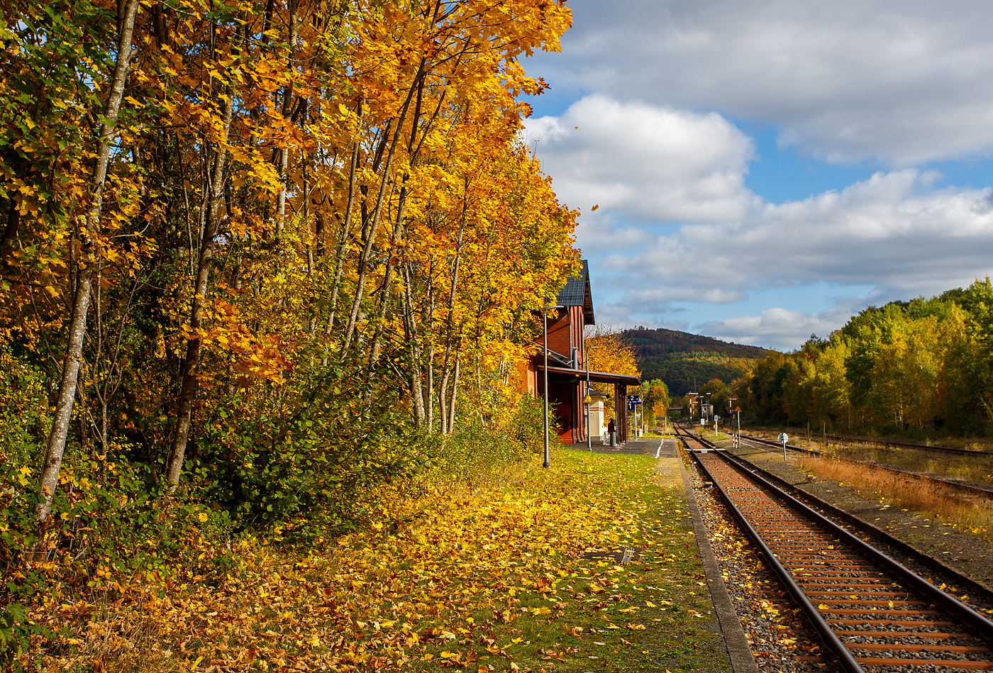 Es ist Herbst, auch beim Bahnhof Herdorf, hier am 14 Oktober 2025 in Blickrichtung Neunkirchen/Siegerland. 

Der Bahnhof Herdorf liegt an km 90,1 der „Hellertalbahn“ KBS 462.

Herdorf war eines der Zentren des Bergbaus im Siegerland mit den meisten Bergwerken auf einem Ortsgebiet des Siegerlandes. Bis 1965 wurden in 100 Jahren ca. 60 Millionen Tonnen Eisenerz in den Herdorfer Gruben gefördert. Dutzende von Bergwerken haben die Kultur und Industrie der Region stark beeinflusst. Neben den Gruben gab es in Herdorf die Friedrichshütte, eine bedeutende Hüttenanlage, deren Hauptgebäude, das sogenannte Hüttenhaus, noch steht und einen Kultursaal und Restaurants beherbergt.

So war der Bahnhof Herdorf im Güterverkehr einst, mit über 30 Gleisen der Staatsbahn, ein sehr großer Bahnhof. Durch die Verladung von Eisenerz gehörte nach den Tonnagen geurteilt, zu einem der größten in Europa. Zudem gab ein noch den Anschluss an die Freien Grunder Eisenbahn AG mit der Bahnstrecke Herdorf–Unterwilden, heute noch vorhanden und betrieben durch die Kreisbahn Siegen-Wittgenstein. Dieser ist in Blickrichtung hinten bei der Brücke. 

Außerdem gab es noch die Anschlüsse an die Friedrichshütte mit ihren Hochöfen und der Hochbahn, sowie an die Eiserfelder Steinwerke AG mit der Verladeanlage der Bremsbahn von Basalt auf Bahnwagen. Zudem war hier beim Bahnhof (rechts vom Bild) noch eine Verladebrücke der schmalspur Grubenbahn ins Sottersbachtal (im Herdorfer Volksmund  Bähnchens  genannt), von dieser wurde geröstetes Eisenerz, sowie später auch Basalt und Split, auf normalspurige Bahnwagen verladen wurde. Die 2,5 km lange Grubenbahn erledigte auch den gesamten Materialtransport zu den Gruben (Friedrich Wilhelm, Einigkeit, Zufälligglück, San Fernando und Mahlscheidt). 