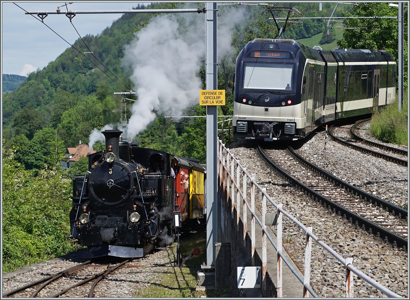 Festival Suisse de la vapeur 2024 / Schweizer Dampffestival 2024 der Blonay-Chamby Bahn - 
Während der CEV MVR ABeh 2/6 7503  Blonay-Chamby  Chamby verlässt, erreicht die BFD HG 3/4 N° 3 der Blonay-Chamby Bahn mit ihrem Dampfzug Chamby.

20. Mai 2024

