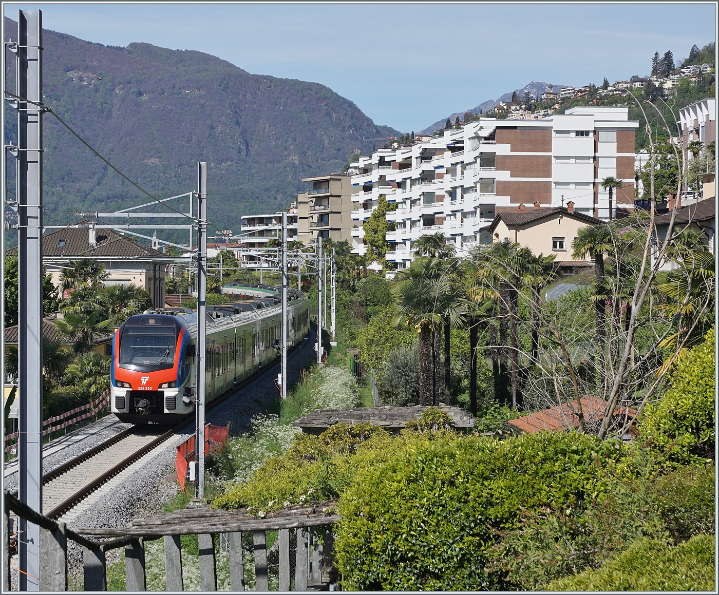 Gestern und HEUTE - Heute muss der Auslösezeitpunkt schon stimmen, will man die Front des Zuges nicht von einem der zahlreichen massigen Masten verdeckt bekommen, wie dies Bild eines Richtung Bellinzona fahrenden, aus zwei TILO RABe 524 Triebzügen bestehenden TILO Zuges zeigt. 

26. April 2023