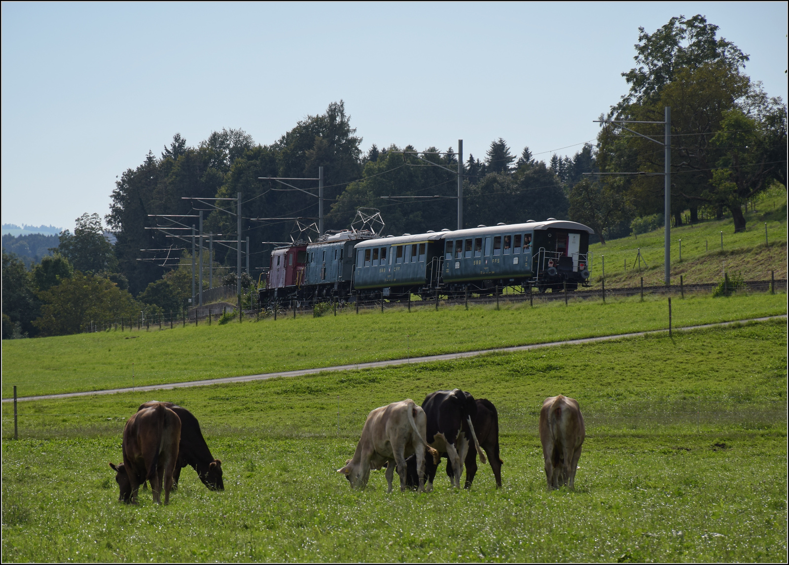 Historische Seethalbahn in Aktion. 

Der Museumszug mit Seetalkrokodil De 6/6 15301, A 3/5 10217 und den Seetalwagen ABi 4415 sowie Bi 7714 auf der Bunkerhangarwiese beim Flugplatz Emmen. September 2024.