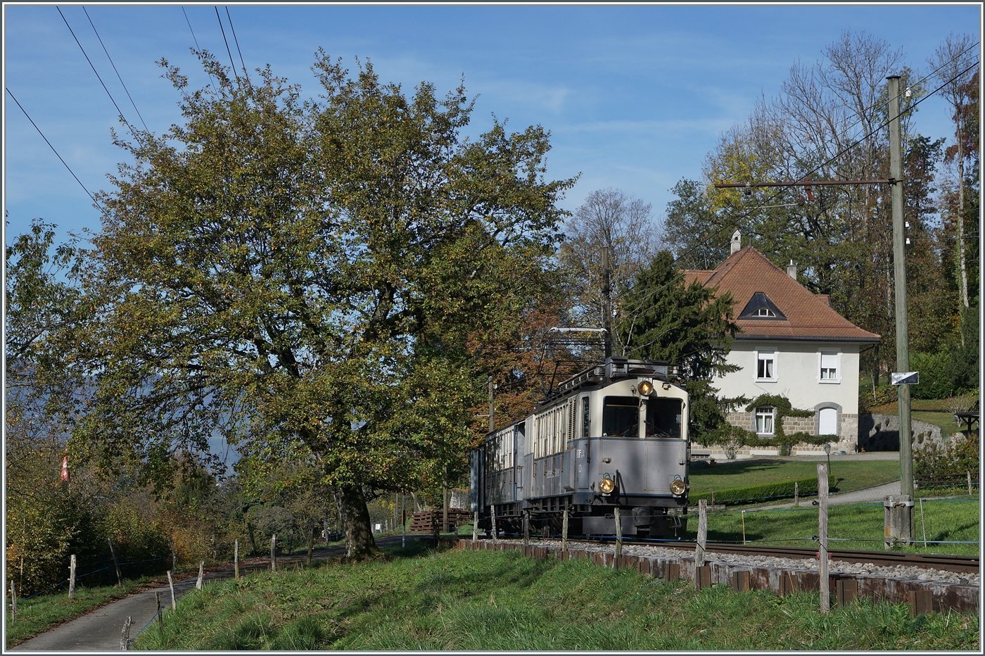 La DER de la Saison / Das Saison Ende der Blonay Chamby Bahn 2024 - Seit einigen Jahren zeigt die Blonay Chamby Bahn zum Saison Ende mit einem verdichteten Fahrplan noch einmal ihrer herrlichen Fahrzeuge im Einsatz. 
Der LLB ABFe 2/4 N° 10 ist mit seinem Zug bei Chaulin auf dem Weg nach Chamby.  

27. Okt. 2024
