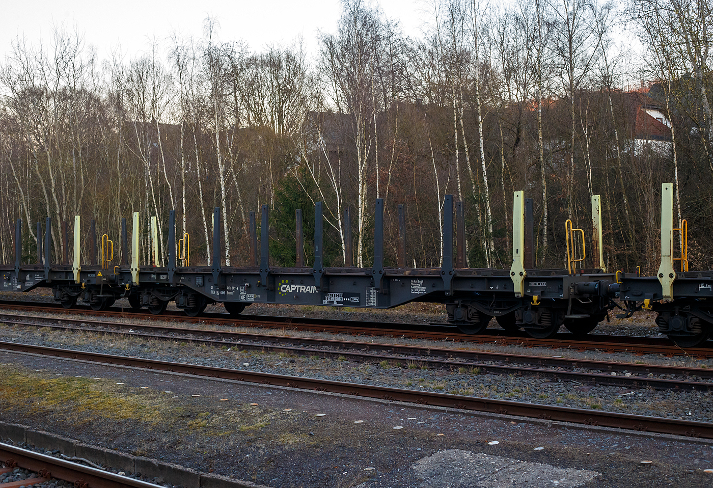 Leerer vierachsiger Drehgestell-Flachwagen mit stabilen Rungen, 37 84 4616 149-9 NL-ORME, der Gattung Smnps, Bauart 194, der On Rail Gesellschaft für Eisenbahnausrüstung und Zubehör mbH (Mettmann), vermietet an CAPTRAIN, am 18 März 2025 im Zugverband bei einer Zugdurchfahrt in Herdorf.

Die Wagen besitzen 16 feste sehr stabile Rungen (1.700 mm hoch), am Boden haben sie 12 feste 100 mm hohe Hartholz-Ladeschwellen. Die Wagen haben einen durch Gitterroste begehbaren Fußboden. So sind die Wagen ideal für den Transport für Stahlprofile und -rohre.

TECHNISCHE DATEN:
Spurweite: 1.435 mm (Normalspur)
Länge über Puffer: 16.740 mm
Drehzapfenabstand: 11.700 mm
Achsabstand im Drehgestell: 1.800 mm 
Raddurchmesser: 920 mm (neu)
Drehgestell-Typ: Y25 mit Achslagerbauart BA 386
Ladelänge: 15.500 mm
Ladebreite: 2.780 mm (zwischen den Rungen)
Ladefläche: 43,0 m²
Eigengewicht: 22.000 kg
Max. Zuladung bei Lastgrenze: 66 t (ab Streckenklasse D)
Max. Geschwindigkeit: 100 km/h (beladen) / 120 km/h (leer)
Kleinster Gleisbogenhalbmesser: 45 m
Bauart der Bremse: KE-GP-A (K) max. 58 t
Bremssohle: Cosid C 810
Handbremse: Ja
Internationale Verwendungsfähigkeit: TEN-GE
