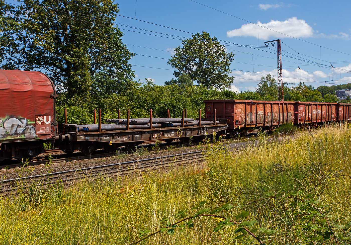 Sechsachsiger Drehgestell-Flachwagen (Schwerlastwagen), mit Einsteck-Rungen, Stirnwandklappen und klappbaren Ladeschwellen, jedoch ohne Seitenwandklappen, 31 80 4865 369-1 D-DB, der Gattung Samms 709, beladen mit Rundstahlknüppel (runde Stranggussblöcke), am 11 Juni 2024 im Zugverband bei einer Zugdurchfahrt durch Rudersdorf (Kreis Siegen) in Richtung Siegen bzw. Kreuztal. 

Der Wagen dient mit aufgeklappten Ladeschwellen zur Beförderung von schweren Walzprofilen und anderen sperrigen Gütern. Mit eingeklappten Ladeschwellen, also mit ebener Ladeebene, eignen sich die Wagen mit dem Nummernkreis 31 80 4865 000-2 bis 999-5 auch zum Transport schwerer Kettenfahrzeuge. Für das Be- und Entladen dieser Fahrzeuge sind befahrbare Stirnwandklappen und Abstützungen vorhanden. Bei den übrigen Wagen dieser Bauart wurden die Abstützungen stillgelegt. Wobei hier im Bild sind die Ladeschwellen eingeklappt, stattdessen wurden Vierkanthölzer auf den flachen Wagenboden untergelegt.

Die Wagenbrücke ist eine in Rahmenbauweise ausgeführte Schweißkonstruktion, deren Hauptbauteile aus St 52 bestehen. Die Hauptbelastungen werden von den äußeren Langträgern aus IPE 600 aufgenommen. Die Pufferträger sind so ausgebildet, dass später ohne große Änderungen die AK eingebaut werden kann.

Der Fußboden besteht aus Kiefernbohlen mit den Abmessungen 70 x 200 mm; er kann eine Radlast von 5,0 t aufnehmen. Im Fußboden sind 6 geteilte klappbare Ladeschwellen eingebaut. Das Fahrzeug hat auf jeder Längsseite 6 Einsteckrungen und an jeder Stirnseite je 2 versenkbare Rungen (Fallrungen). Die Stirnwandklappen sind umlegbar. Die Einsteckrungen lagern, wenn sie nicht gebraucht werden, in Taschen an den Außenlangträgern. Die abgesenkten Fallrungen liegen noch innerhalb des Umgrenzungsprofils, so dass der Wagen auch mit abgesenkten Fallrungen und umgelegten Stirnwandklappen gefahren werden kann. Die Wagen sind mit einer bodenbedienbaren Feststellbremse ausgerüstet. 

Die Wagen sind mit einer bodenbedienbaren Feststellbremse ausgerüstet. Einige Wagen aus dem Nummernkreis 31 80 4864 000 bis 516 sind für bestimmte Verkehre (runde Stranggussblöcke) mit 3-teiligen Ladeeinheiten (Ladegestelle) ausgestattet. Hierfür gelten besondere Beladungs- und IH-Anweisungen.

TECHNISCHE DATEN:
Gattung: Samms 709 (Gattungskennzahl 4865)
Erstes Baujahr: 1977
Spurweite: 1.435 mm (Normalspur)
Länge über Puffer: 16.400 mm
Drehzapfenabstand: 9.150 mm
Radsatzstand in den Drehgestellen: 2 x 1.700 mm = 3.400 mm
Drehgestell-Typ: BA 711.5
Ladelänge: 15.000 mm
Ladebreite: 2.585 mm (zwischen den Rungen)
Fußbodenhöhe über SO: 1.200 mm
Ladefläche: 46 m²
Eigengewicht: 30.050 kg
Zuladung bei Lastgrenze S: 74,5 t (ab Streckenklasse D)
Zuladung auf DB Netz bei Streckenklasse CE/D: 89.5 t (max.100 km/h)
Max. Zuladung: 101,5 t
Max. Geschwindigkeit: 100 km/h (beladen) / 120 km/h (leer)
Kleinster Gleisbogenhalbmesser: 75 m
Bauart der Bremse: KE-GP (LL) 
Bremssohle: IP 116
Handbremse: Ja
Internationale Verwendungsfähigkeit: RIV
