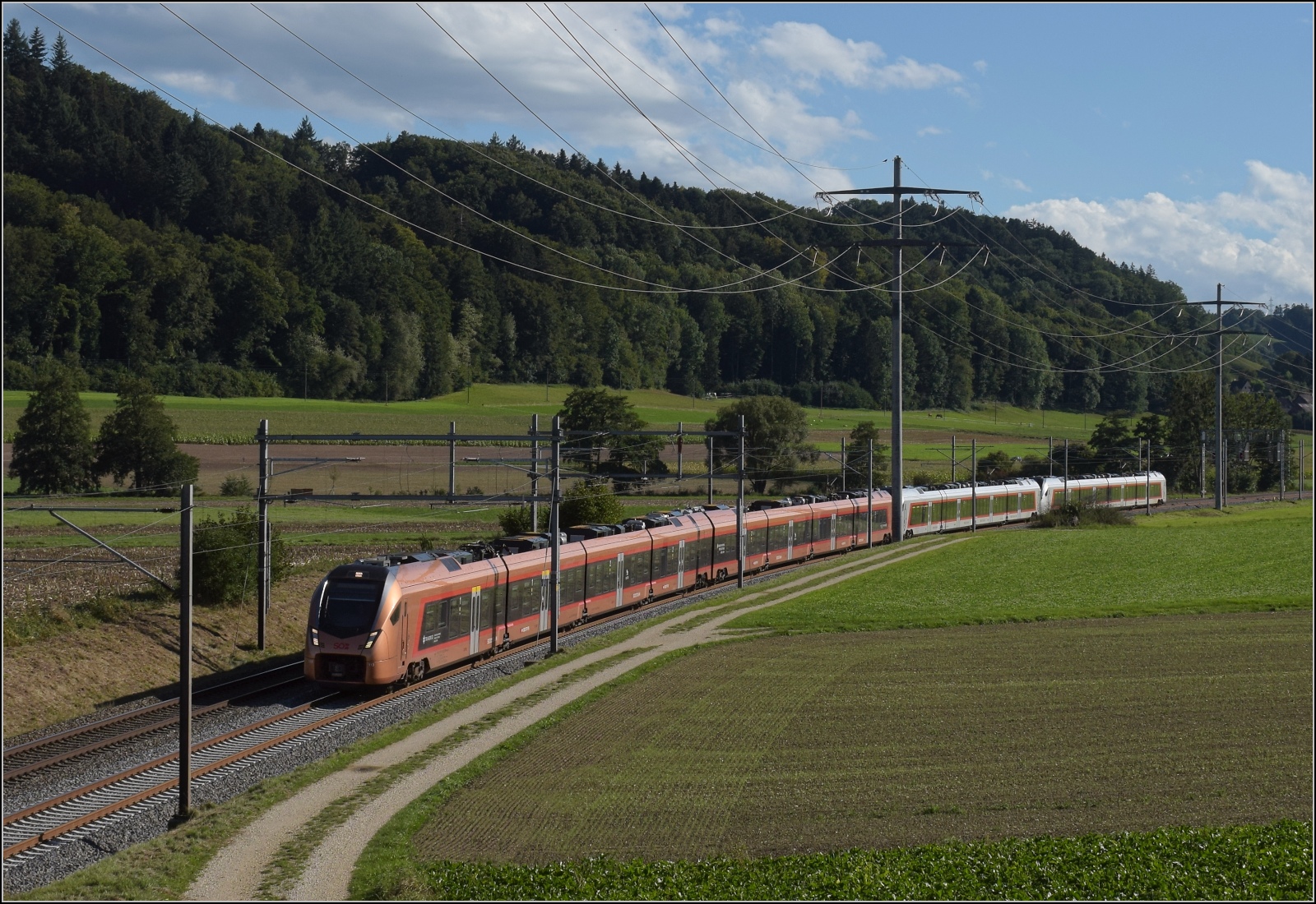 Traverso RABe 526 113, RABe 526 001 'Bachtel' und RABe 526 002 'Calanda' unterwegs Richtung Olten. Rain bei Bollodingen, September 2022.