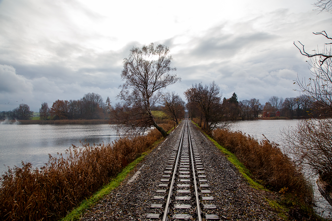 Unterwegs mit dem „Lößnitzdackel“  bzw. mit der Lößnitzgrundbahn, hier befährt unser Zug am 07.12.2022 den 210 m langen Bahndamm am Dippelsdorfer Teich (km 6,59n - 6,775), vom letzten Wagen nach hinten heraus. 
 	
Der Dippelsdorfer Teich liegt als einer der Moritzburger Teiche im Moritzburger Teichgebiet nördlich von Dresden in Sachsen und ist nach dem zum Moritzburger Ortsteil Friedewald gehörenden Dörfchen Dippelsdorf benannt. Der See dient der Fischzucht, dem Naturschutz und der Naherholung. Der 210 m lange Bahndamm ermöglicht der Lößnitzgrundbahn die Überquerung des Sees zwischen Dippelsdorf und Moritzburg. Am See gelegen sind das Strandbad Friedewald-Dippelsdorf und der Campingplatz Bad Sonnenland. Gestaut werden der Lößnitzbach und durch eine Überleitung auch der Reichenberger Bach. Der Teich wurde im 16. Jahrhundert, wahrscheinlich 1528, angelegt.
