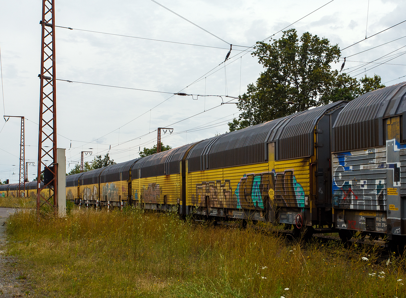 Vierachsiger zweigliedriger (2 x 2) geschlossener Doppelstock-Autotransportwaggon, 23 80 2911 342- 6 D-ARS der Gattung/Bauart Hccrrs 5.833 M der ARS Altmann AG mit Sitz im bayerischen Wolnzach, am 01 August 2024 im Zugverband bei einer Zugdurchfahrt in Rudersdorf (Kreis Siegen).

Diese Wagen wurden von Greenbrier Europe im Werk Wagony Świdnica sp. z o. o. (Polen) gebaut.

TECHNISCHE DATEN:
Gattung: Hccrrs 5.833 M
Spurweite: 1.435 mm
Anzahl der Achsen: 4
Länge über Puffer: 27.000 mm
Achsabstände: 9.000 mm / 4.200 mm / 9.000 mm
Laufraddurchmesser: 760 mm (neu) / 680 mm (abgenutzt)
Länge der Ladefläche: 25.500 mm (oben) / 25.450 mm (unten)
Innenbreite (Ladefläche): 2.764 mm (oben) / 2.888 mm (unten)
Höhe über Schienenoberkante: 4.290mm oder 4.793 mm (je nach Stellung)
Tragfähigkeit: Oberdeck 2 x 6 t / Unterdeck 2 x 6 t (Radlast 700 kg)
Eigengewicht: 32.000 kg
Max. Zuladung: 24,0 t (ab Streckenklasse A)
Höchstgeschwindigkeit: 100 km/h (beladen) / 120 km/h (leer)
Bremse: KP-GP-A (LL)
Bremssohle: IB 116
Handbremse: Ja (Handbremsgewicht 20,0 t)
Kleinster zulässiger Kurvenradius: R = 75 m (Einzelwagen, Gesamtzug 150 m)
Intern. Verwendungsfähigkeit: RIV