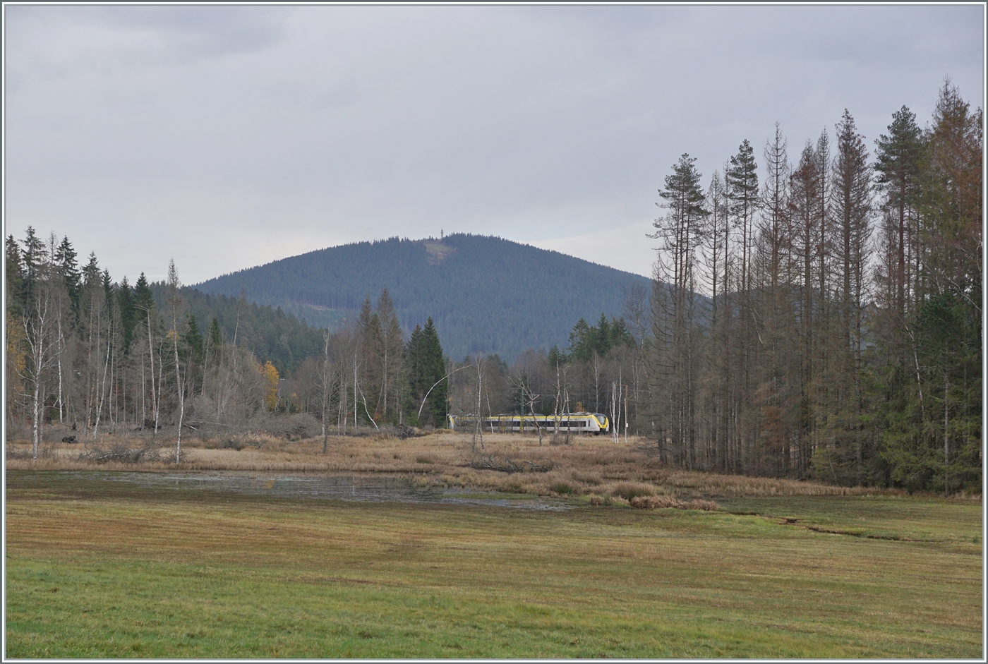 Zwei  Grisekatzen  (BR 440 - Coradia Continental 2) sind in einer skandinavisch anmutenden Landschaft kurz vor Titisee unterwegs. Im Hintergrund ist der Feldberg zu sehen. 

14. November 2022