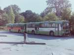 Wagen 57 bis Wagen 62, Das Jahr 1983 war f�r mich ein besonderes Jahr, denn zum ersten Mal fieberte ich der Zuschleusung neuer Busse entgegen.