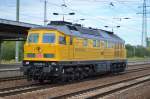 DB Bahnbau-Gruppe mit ihrem gelben Tiger 233 493-6 am 17.09.15 Bhf.