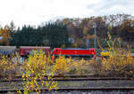 Die 187 148-2 (91 80 6187 148-2 D-DB) der DB Cargo AG fährt am 13 November 2025 mit einem Coilzug durch Betzdorf (Sieg) in Richtung Köln.
