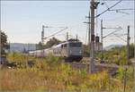 Passend zum RABe 502 203 in Donauwörth von Horst ein paar Bilder, wie er deutschen Boden betreten hat. Hier bei Binzen an der Ausfädelung aus der Altbaustrecke zum Katzenbergtunnel muss sich der Zug durch zwei S-Kurven auf gerader Strecke zwängen. 139 558-1 zieht die Komposition aus Triebzug und Bremswagen. September 2018.