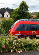 Mal ein etwas anderes Bahnbild mit Buschrosen vor dem Motiv.