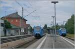 In Hergatz begegnen sich die Go Ahead ET 4.33 (94 80 1428 037-4 D-GABY)) von Lindau Insel nach Memmingen und der in die Gegenrichtung fahrende ET 4.21. 

19. Juni 2023