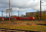 Da stehe beim Alb-Bähnle (Schmalspur-Museumsbahn Amstetten-Oppingen)...