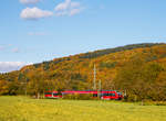 
Etwas verdeckt vom Goldenen Oktober - Ein vierteiliger Bombardier Talent 2 der DB Regio als SE 40 Mittelhessen-Express ( Dillenburg - Gießen - Frankfurt Hbf) fährt am 14.10.2017 in Richtung Gießen, hier zwischen Edingen und Katzenfurt.
